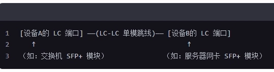 Where is the LC-LC 10 Gigabit single-mode fiber patch cable connected to?