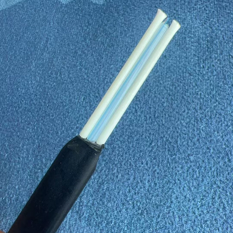 GYFBY/GYFXY 2/4/8/12 cores fiber optic cable G652D/G655C/G657A Elliptical flat cable (pic1)